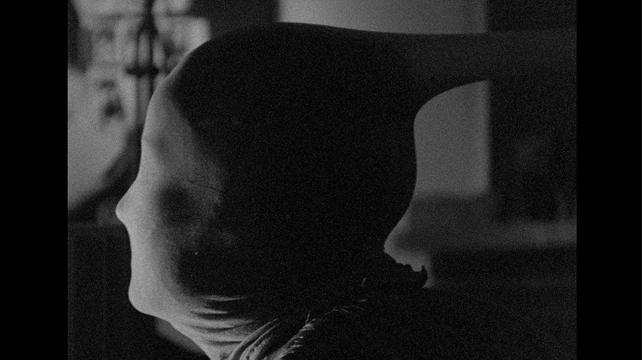 Letters to Paul Morrissey : Foto