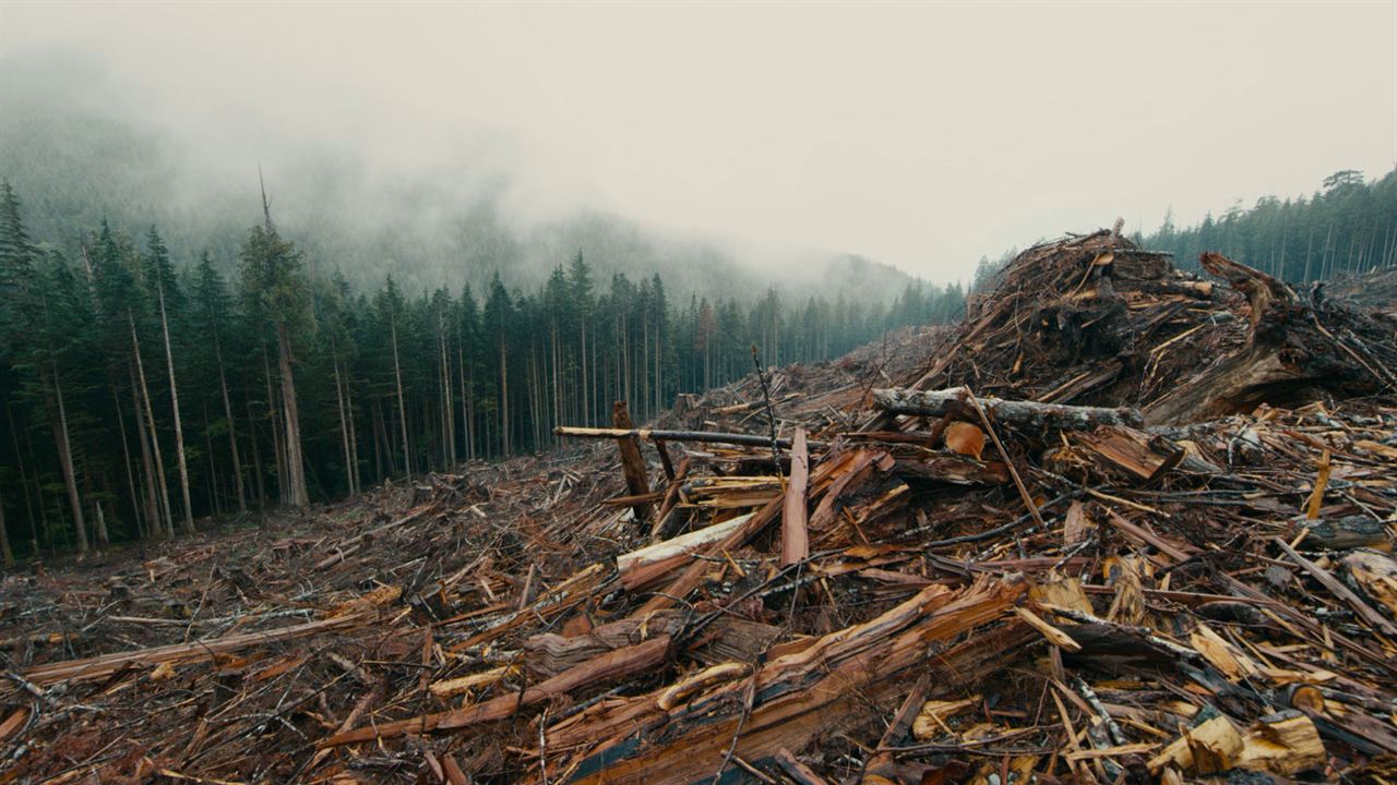 Anthropocene: The Human Epoch : Foto