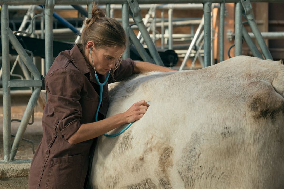 Una veterinaria en la Borgoña : Foto Noémie Schmidt