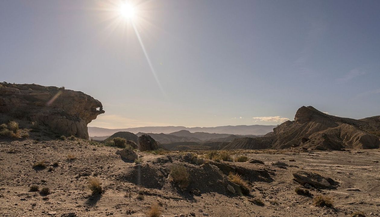 Vis a Vis: El Oasis : Foto