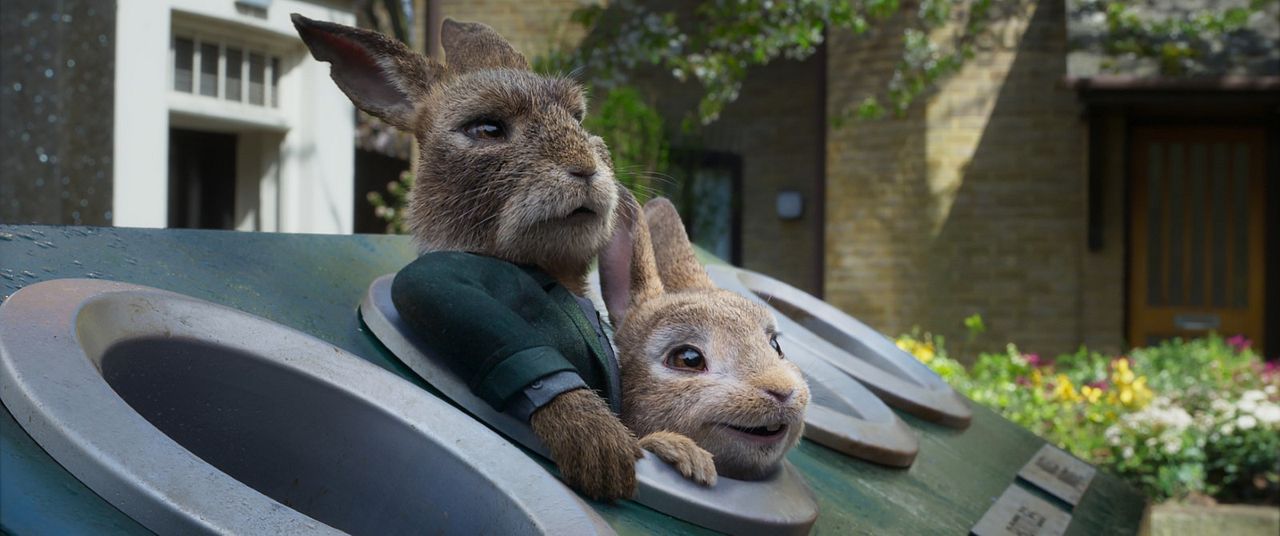 Peter Rabbit 2: A la fuga : Foto