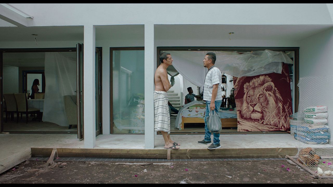 Mano de Obra : Foto Luis Alberti