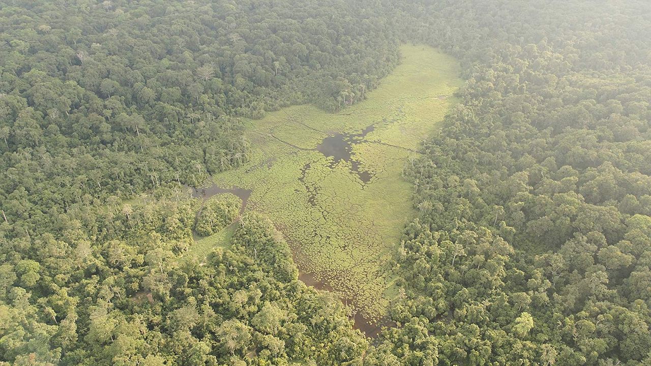 Nuestro planeta : Cartel