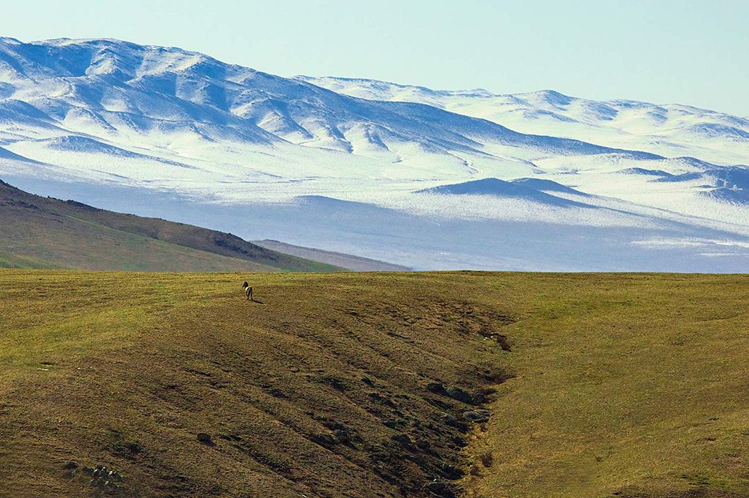 Nuestro planeta : Cartel