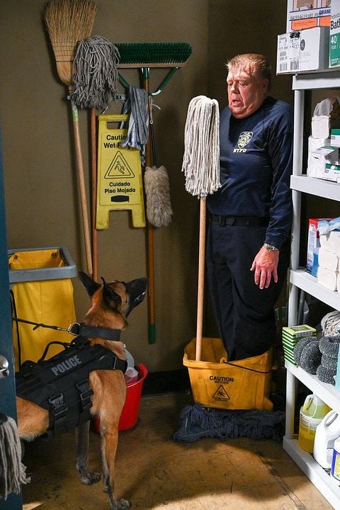 Brooklyn Nine-Nine : Foto Joel McKinnon Miller