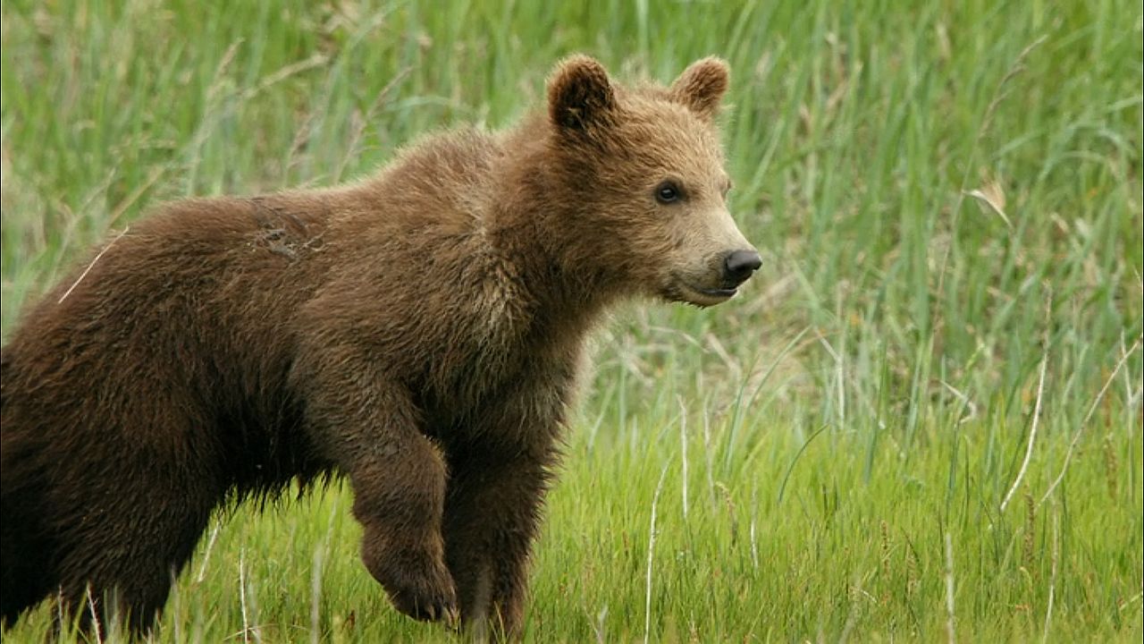 Crecer en la naturaleza : Foto