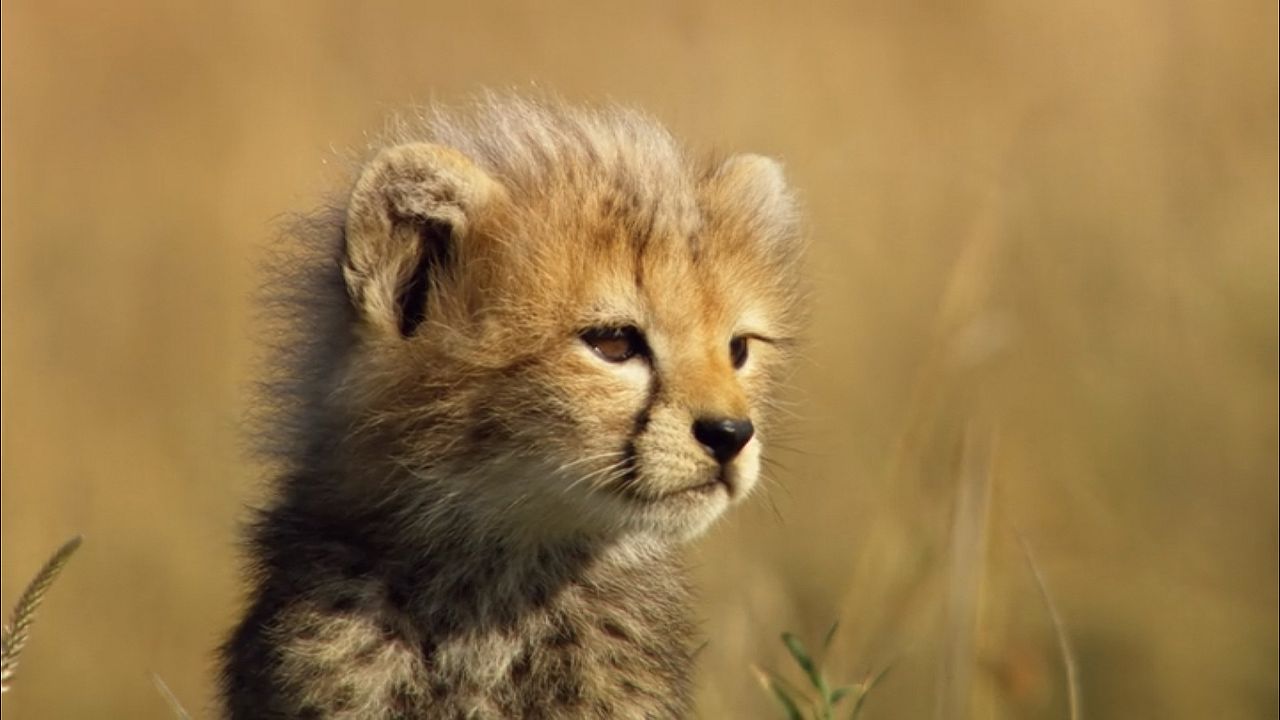 Crecer en la naturaleza : Foto