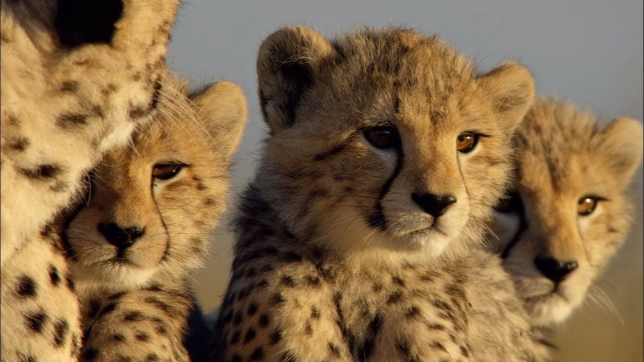 Crecer en la naturaleza : Foto