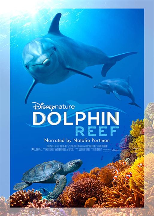 Delfines: La vida en el arrecife : Cartel