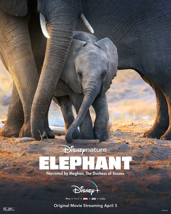 Los elefantes : Cartel