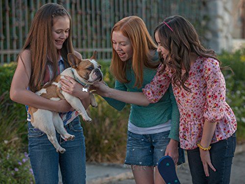 Just Add Magic : Foto