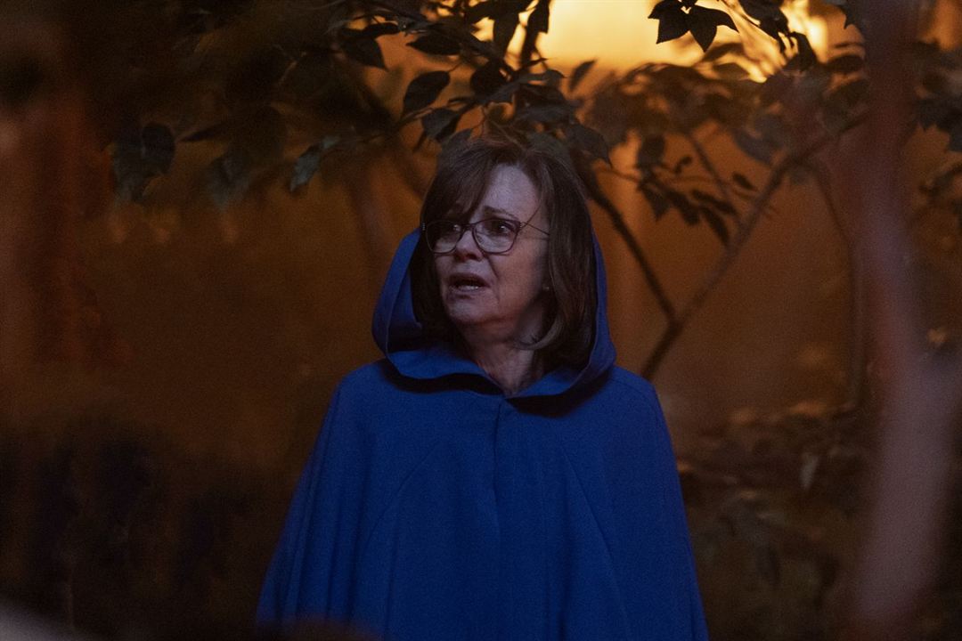 Desde Otro Lugar (Dispatches from Elsewhere) : Foto Sally Field