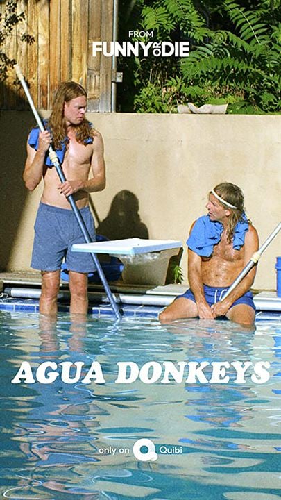 Agua Donkeys : Cartel