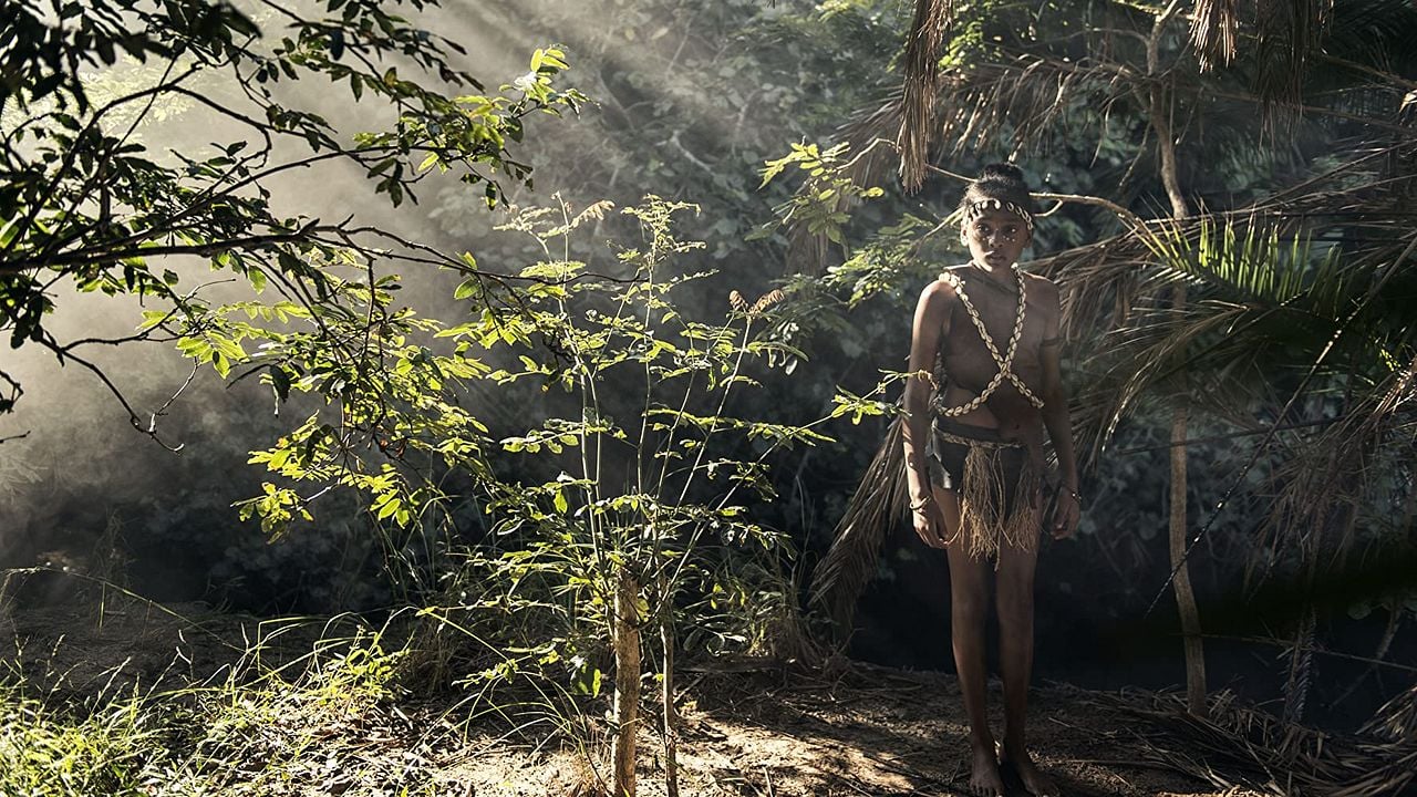 El libro de los negros : Foto