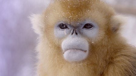 Un planeta absurdo : Foto