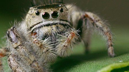 Un planeta absurdo : Foto