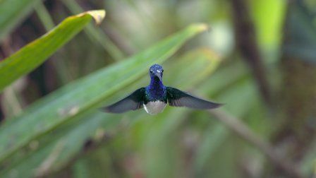 Un planeta absurdo : Foto