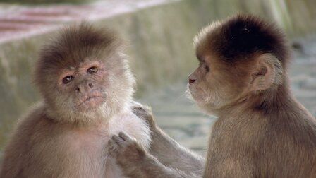 Un planeta absurdo : Foto