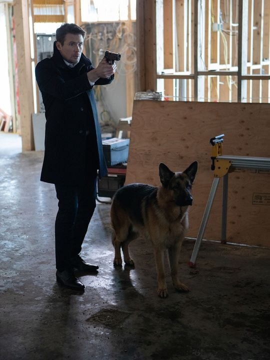 Hudson & Rex : Cartel