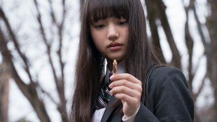 El patito feo que surcó los cielos : Cartel