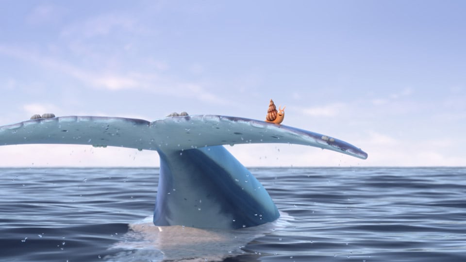 El caracol y la ballena : Foto