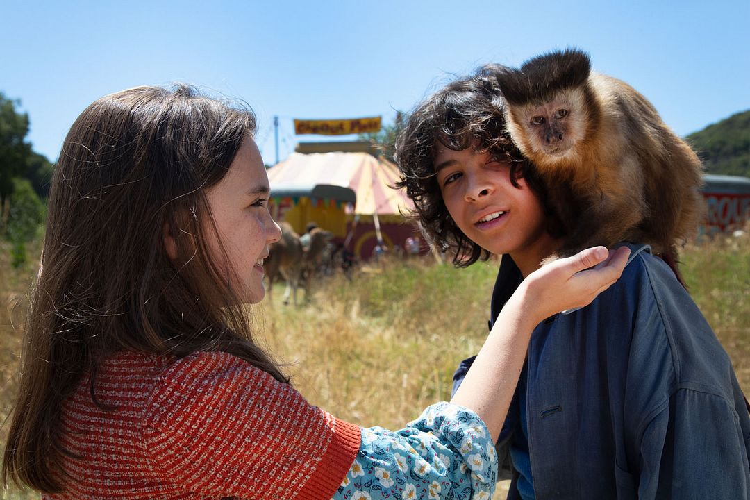 Mi amigo Pony : Foto