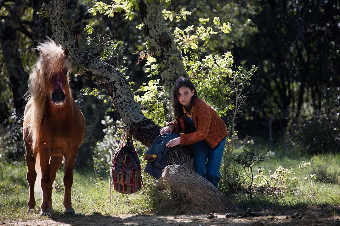 Mi amigo Pony : Foto