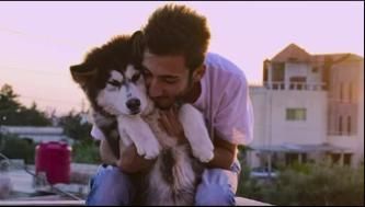 Amigos caninos : Cartel