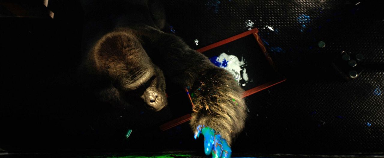 El magnífico Iván : Foto