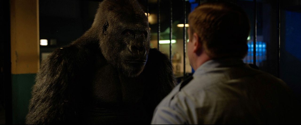 El magnífico Iván : Foto