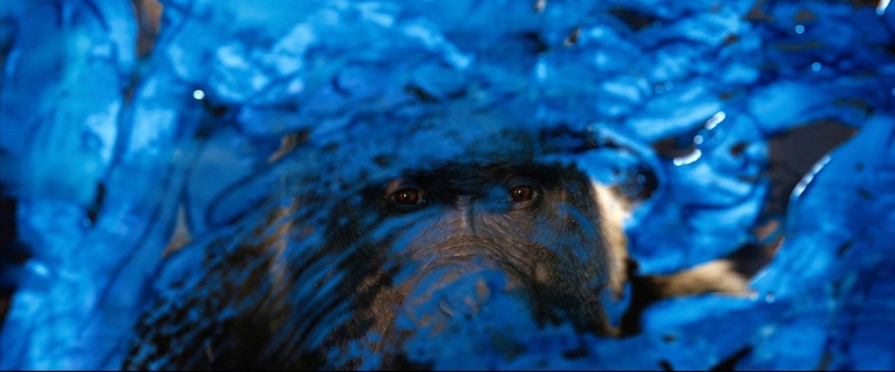 El magnífico Iván : Foto