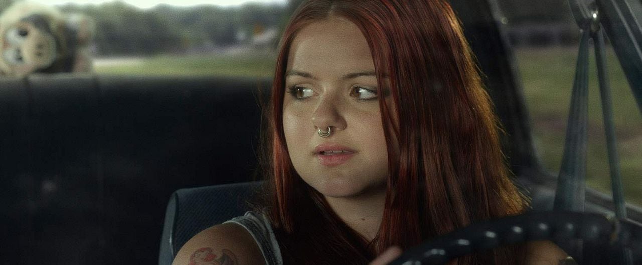 La última gran estrella : Foto