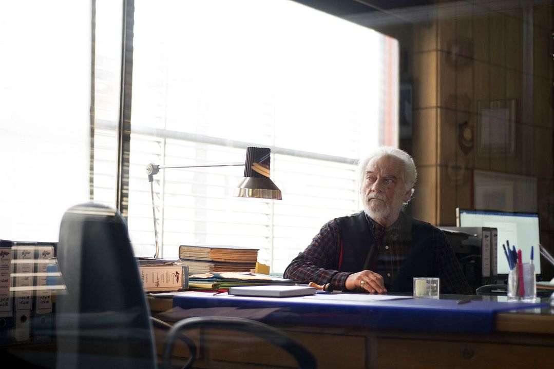 Imma Tataranni sostituto procuratore : Foto