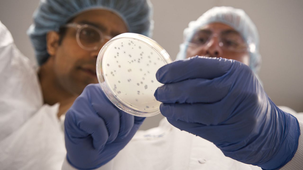 Superconectados : Foto