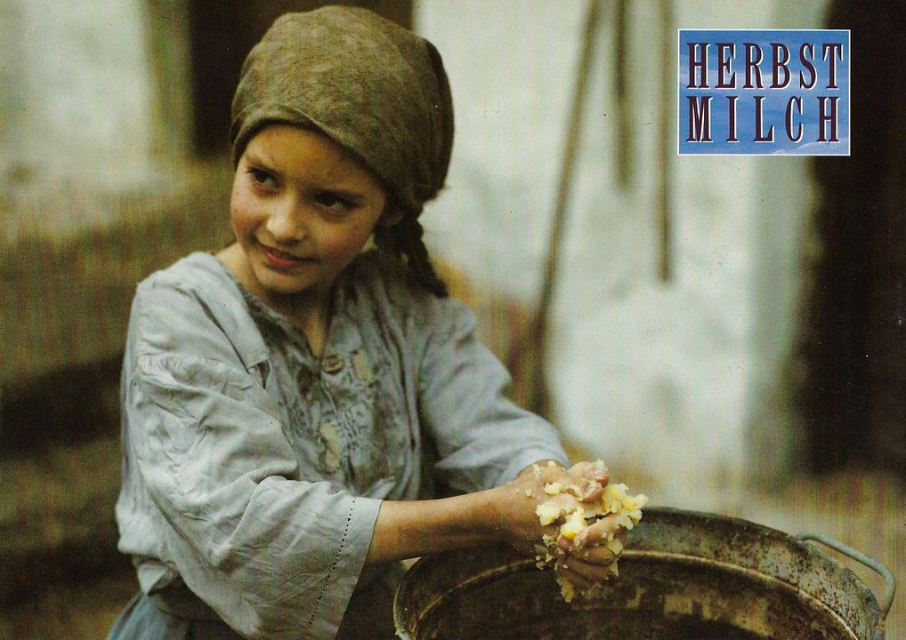 Leche de otoño : Foto