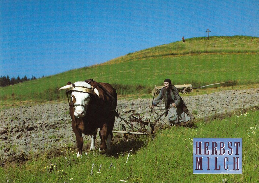 Leche de otoño : Foto