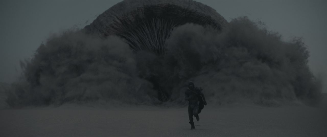 Dune : Foto Timothée Chalamet
