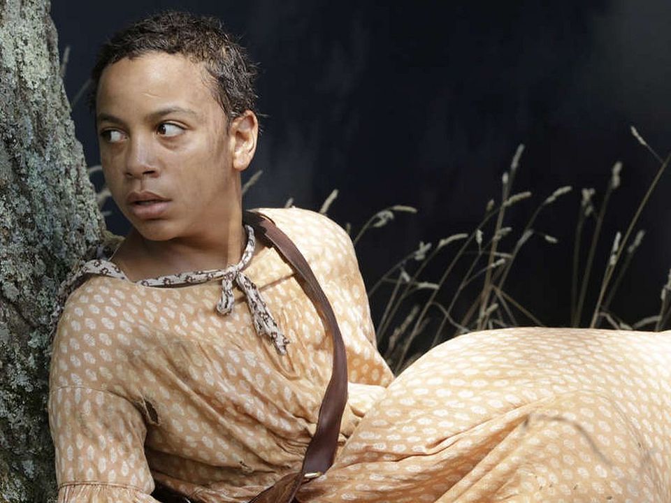 El pájaro carpintero : Foto Joshua Johnson-Lionel