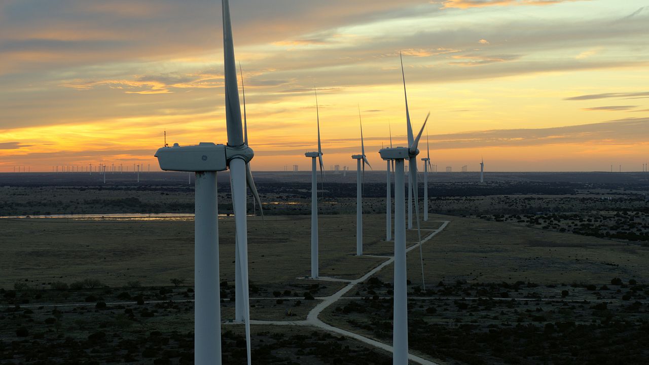 David Attenborough: Una vida en nuestro planeta : Foto