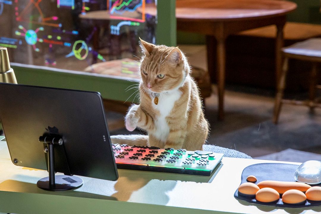 Como perros y gatos: La patrulla unida : Foto