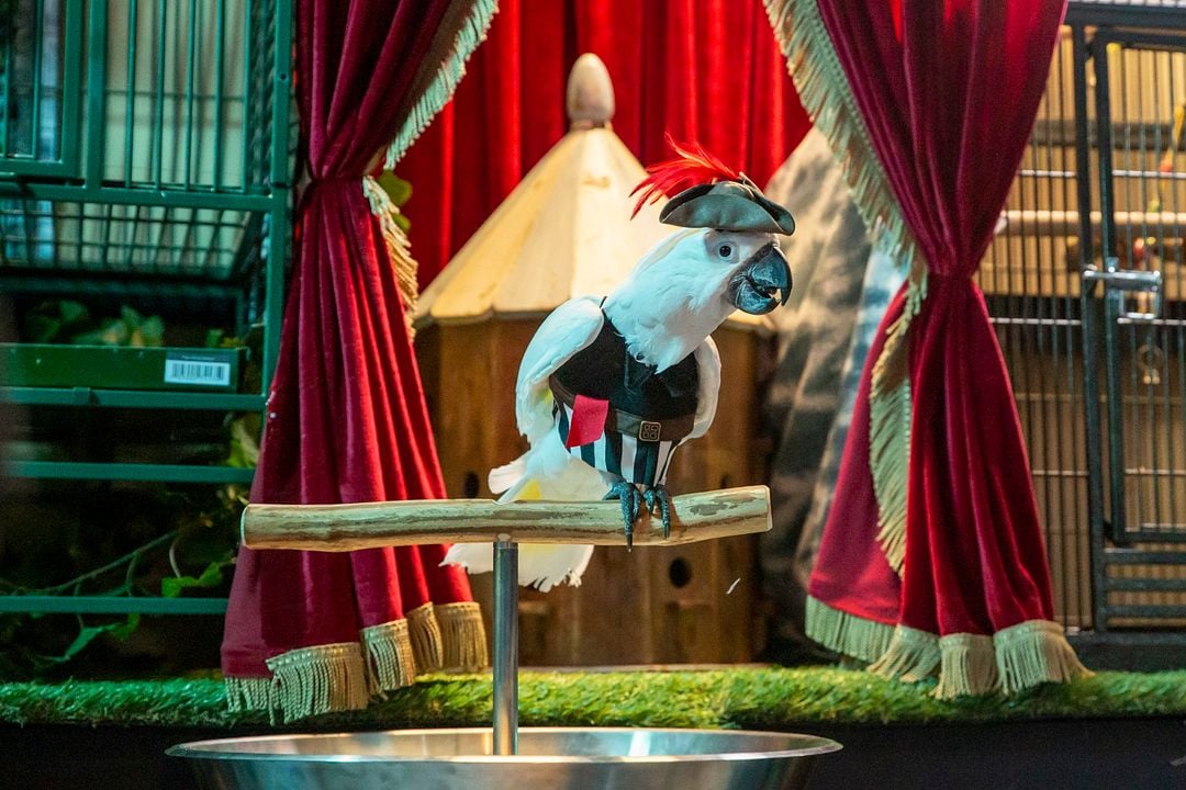 Como perros y gatos: La patrulla unida : Foto