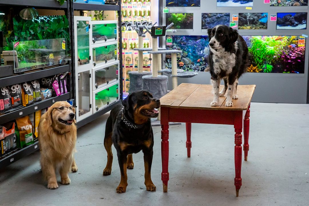 Como perros y gatos: La patrulla unida : Foto