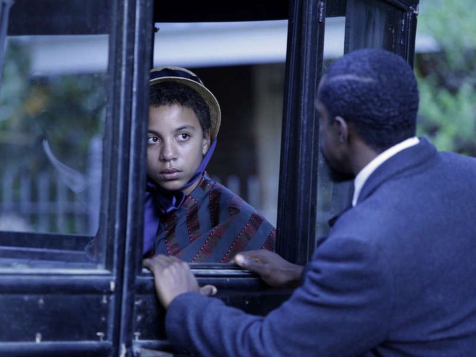 El pájaro carpintero : Foto Joshua Johnson-Lionel