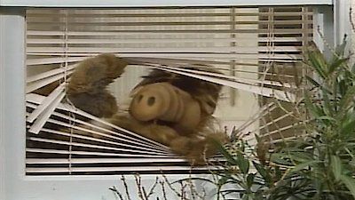 ALF : Cartel