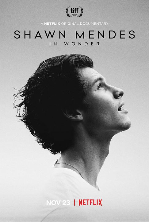 Shawn Mendes: In Wonder : Cartel