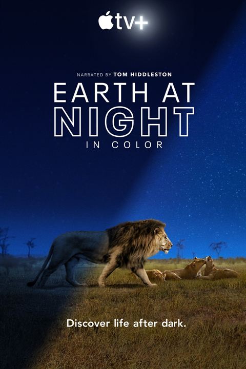 Planeta nocturno: a todo color : Cartel