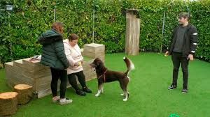 The Dog House : Cartel