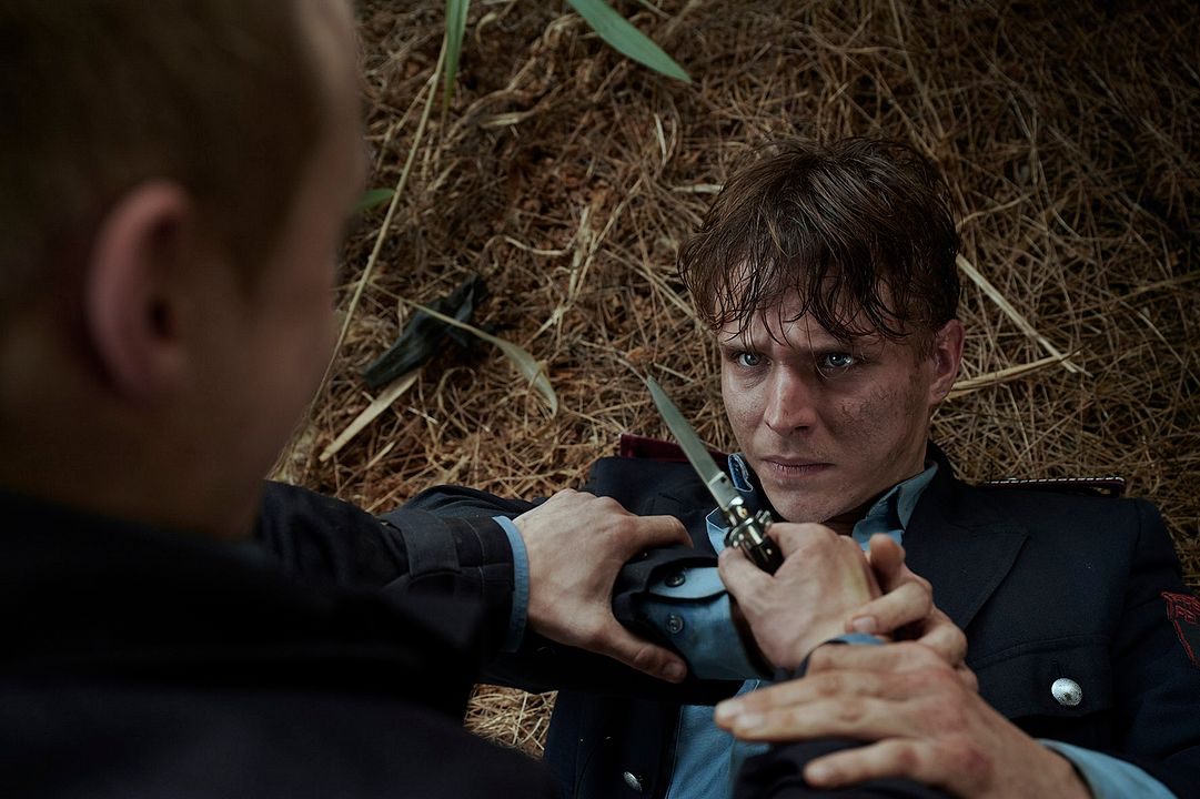 Fuego cruzado por Navidad : Foto Merlin Rose