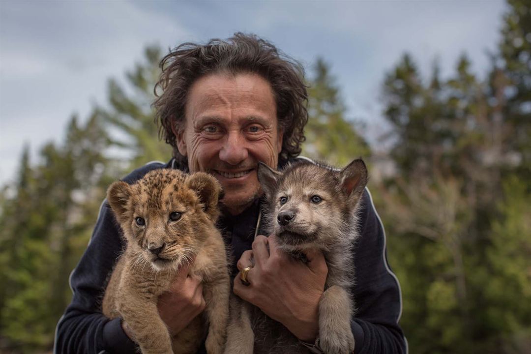 El lobo y el león : Foto Gilles de Maistre