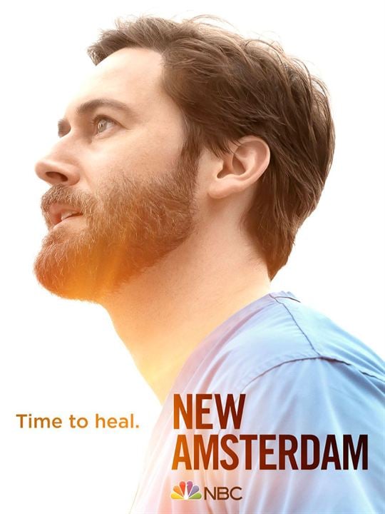 New Amsterdam (2018) : Cartel